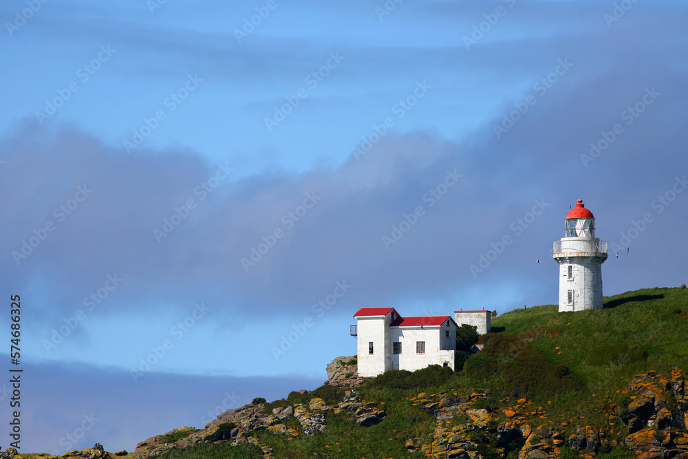 The historic landmark Taiaroa Head Lighthouse at the Taiaroa Head (Pukekura), the breeding colony of the famous Royal Albatross, in blue sky background, on Otago Peninsula, near Dunedin, New Zealand