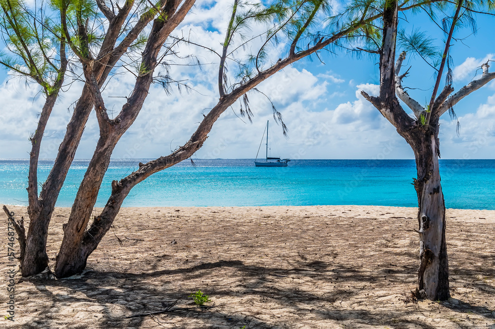 A view past trees offshore on the island of Grand Turk on a bright sunny morning A view past trees offshore on the island of Grand Turk on a bright sunny morning