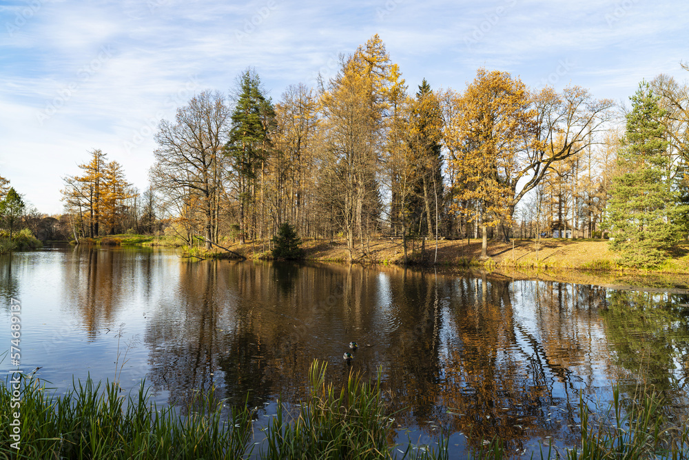 Obraz premium Autumn landscape on a sunny day, on the lake. Priyutino, Leningrad Region, Northwest Russia