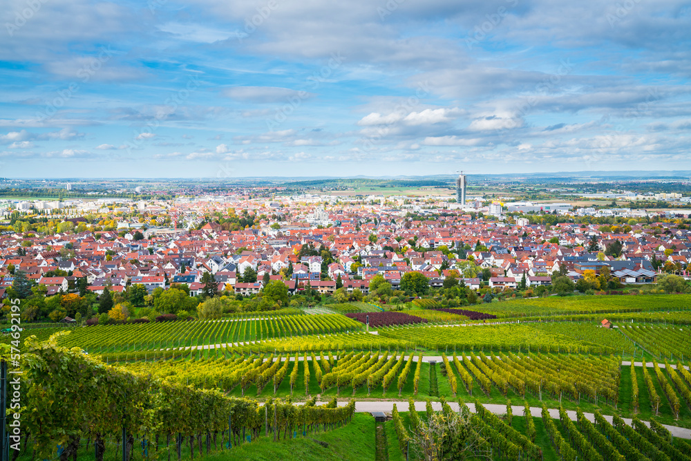 Germany, Fellbach city skyline vineyard panorama view autumn season above roofs houses tower at sunset time