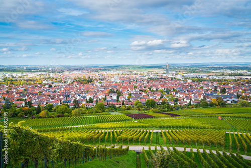 Obraz na płótnie Germany, Fellbach city skyline vineyard panorama view autumn season above roofs houses tower at sunset time w salonie