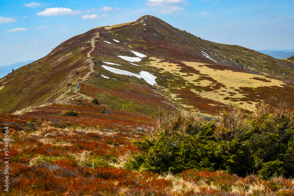 beautiful wild rocky trail in spectacular Bieszczady Mountains. Połonina Caryńska, Bieszczady National Park, Poland. 