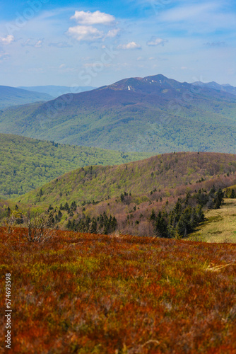 Fototapeta Naklejka Na Ścianę i Meble -  colourful panorama of mountains during spring; mountain plants coming to life and blooming in the European mountains, bieszczady, poland