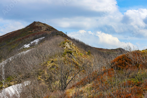 Fototapeta Naklejka Na Ścianę i Meble -  spring panorama of colorful mountains; vegetation coming back to life; european mountains covered with colorful plants