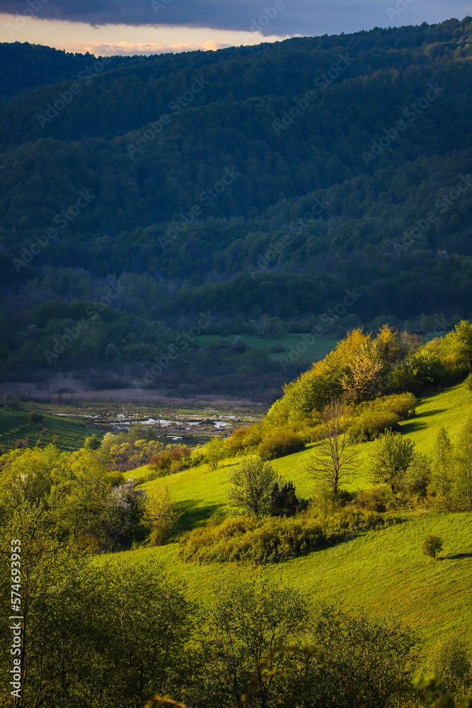 sunset over a lush green mountain glade in europe, spring landscape during sunset, the san valley in the polish mountains bieszczady