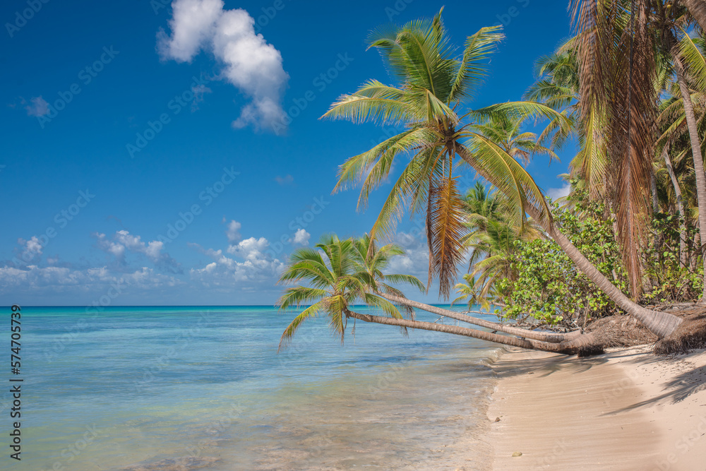 Tropical paradise beach with white sand and coconut palms. clear blue water on Saona Island in Dominican Republic. travel tourism wide panorama background concept