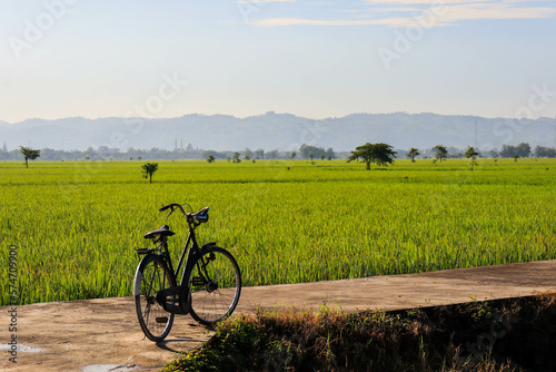old bicycle with rice fields in the background.