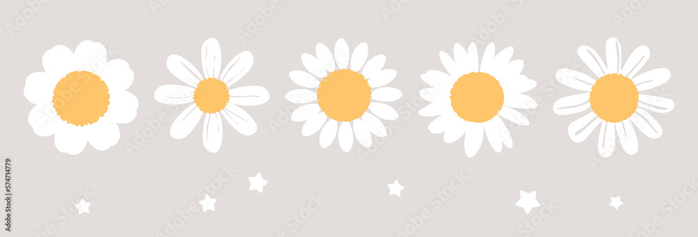 Chamomiles daisy flower icons and stars on grey background vector. Cute childish print. Chamomiles daisy flower icons and stars on grey background vector. Cute childish print.