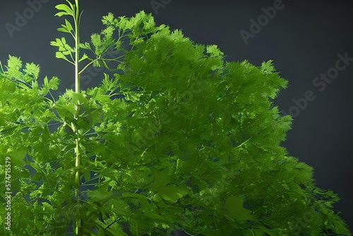 Nature Lungs With Leaves Inside, Green Lungs Of Planet Earth. Environment, Ecology. Generative AI