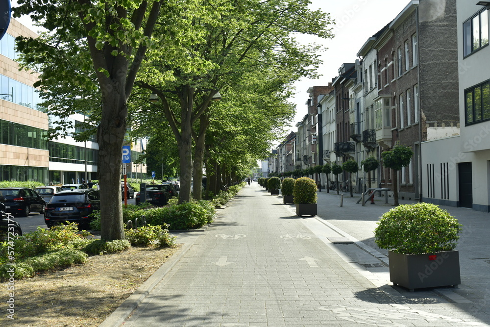 Obraz premium L'une des rues rénovées avec piste cyclable à Malines 