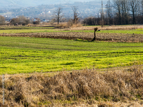 Rural area. Rural landscape in spring. © photokrle