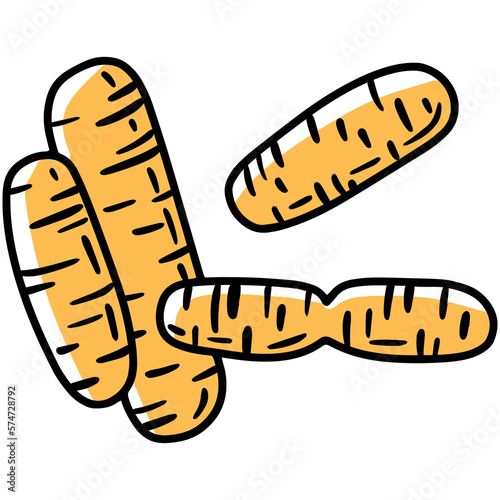 Bacteroides gram-negative anaerobic bacteria in the human intestinal microflora, vector illustration. Microbiota of the digestive tract. photo