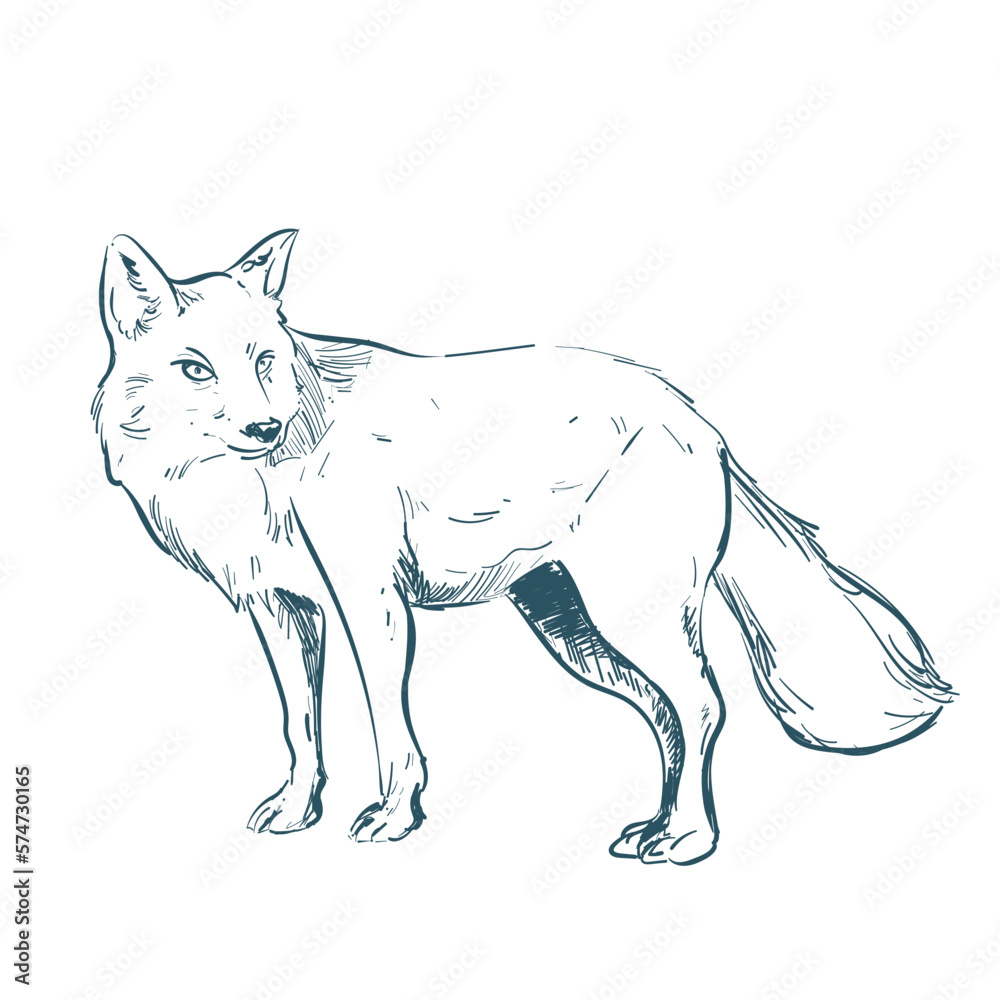 Fototapeta premium retro wolf design
