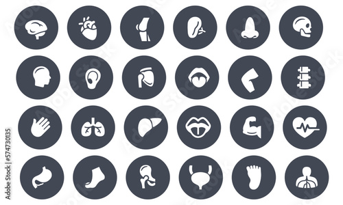 Human Body Parts Icons vector design