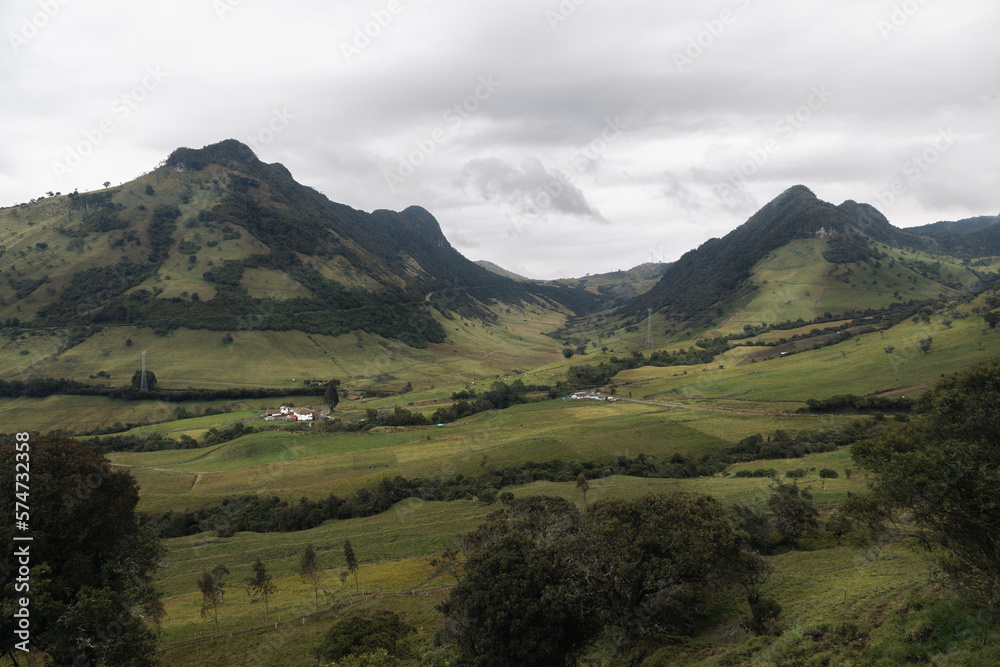 Fototapeta premium Deep in Colombia wilderness and soil. Very different to what I am use to in the Sates