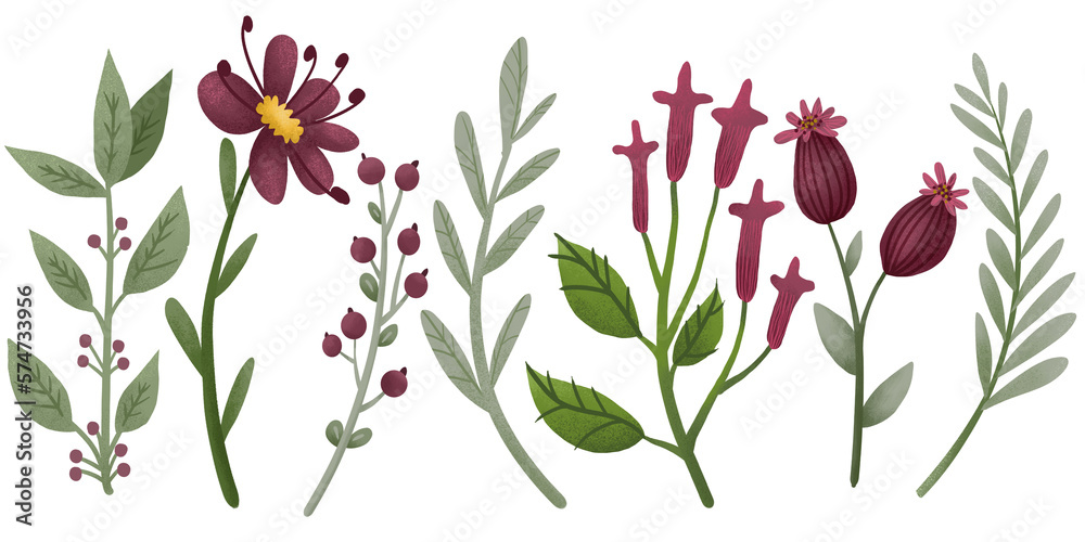 Obraz premium Floral collection of cute hand drawn cartoon flowers on transparent background. Botanical set of floral elements for pattern design, greeting card decoration