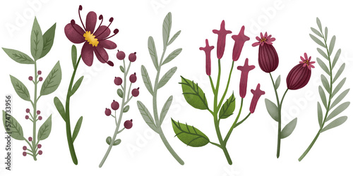 Floral collection of cute hand drawn cartoon flowers on transparent background. Botanical set of floral elements for pattern design, greeting card decoration