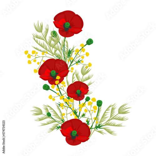 Red poppy isolated, mimosa on a white background, red and yellow flowers, flowers for the frame, poppies day, memorial day, spring flowers, women's day, mother's day, March 8, remember, Remembrance