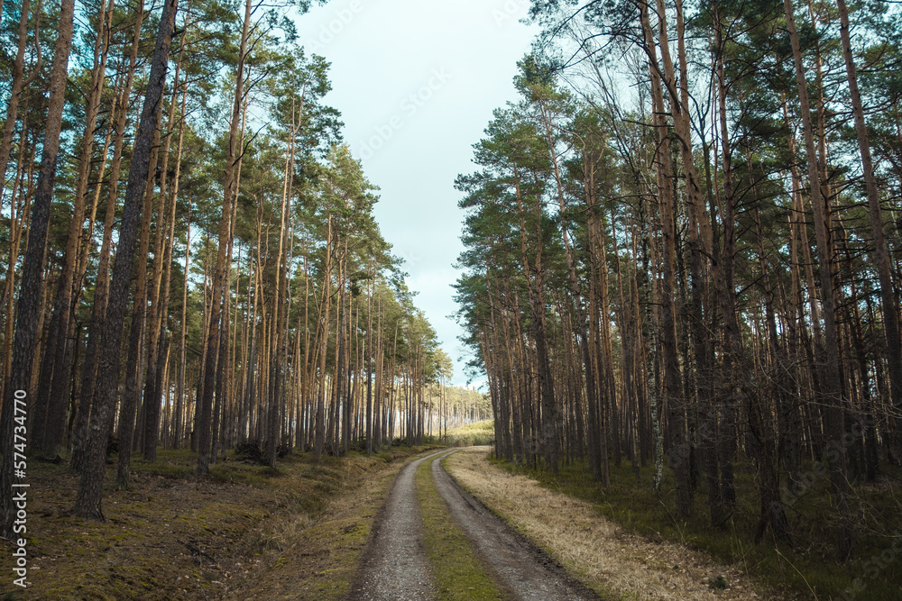 Fototapeta premium Gravel twisty road in the middle of a forest. Cloudy sky.