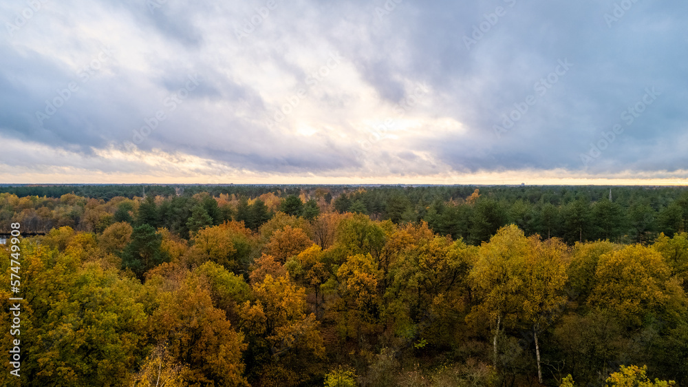 Beautiful colored forest during fall. Aerial drone picture of Belgian forest in Antwerp in autumn shot by a drone. High quality photo