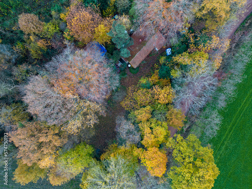 Aerial Drone Photo Looking Down on an Autumn Forest with Multi Colored Fall Trees in Europe. High quality photo