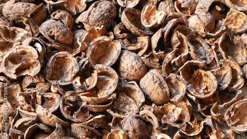 Nut shell. Empty walnut shell. Texture of nuts. Selective focus