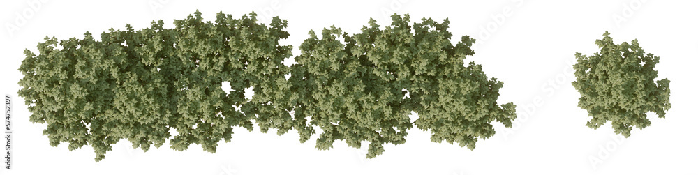 Plan 2D view shrub composition Isolated on PNGs transparent background ,Use for visualization in graphic design
Plan 2D view shrub composition Isolated on PNGs transparent background ,Use for visualization in graphic design