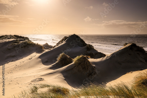 sand dunes on sea beach in sunshine