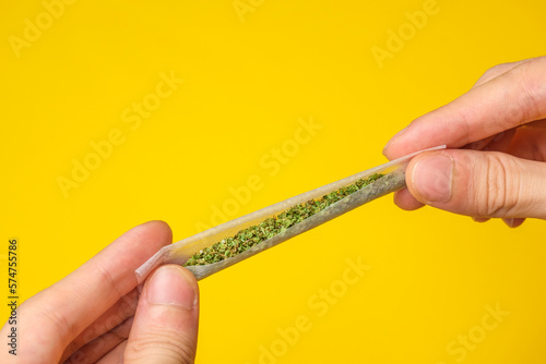 Hands Rolling a Joint full of weed, cannabis, marijuana on a yellow background. 