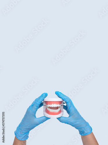 Creative medical dentistry. Dental Teeth Model dentures in Female dentist hand in blue medical gloves.