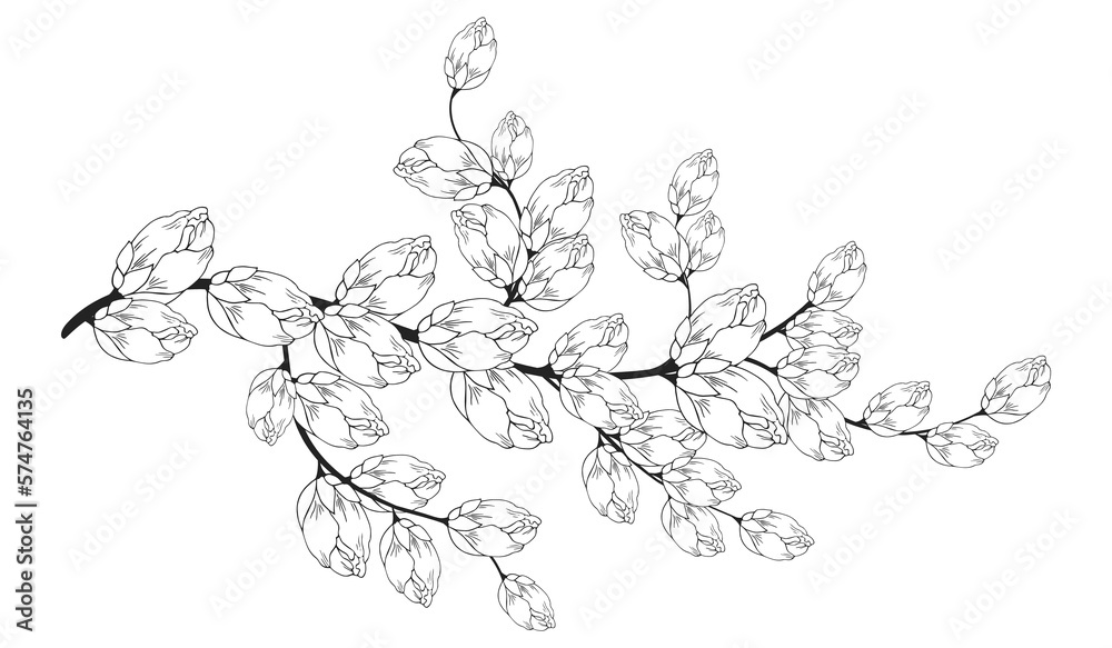 Naklejka premium Gentle floral background from flower branches and buds, flower arrangement. Hand drawing. For stylized decor, invitations, cards, posters, flyers, backgrounds, as clipart
