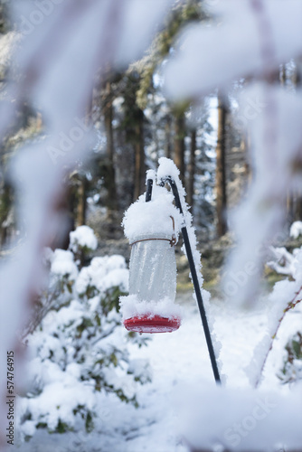 A hummingbird feeder covered with snow in a yard in Eugene, Oregon.

