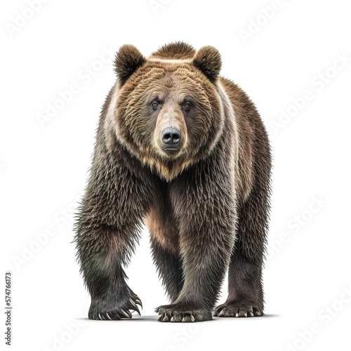 brown bear isolated on white background. generative ai