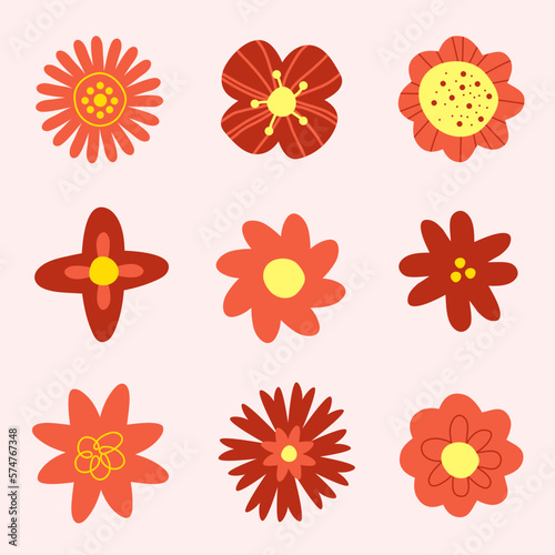 Pink cute flowers set with pink background. Flower plant nature collection. 