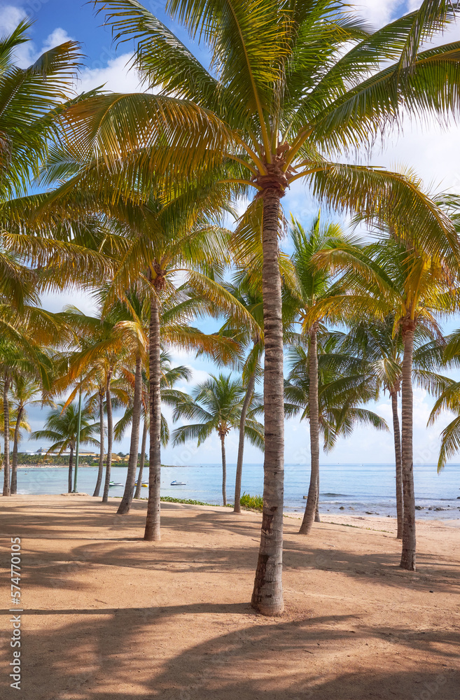 Photo of a Caribbean tropical beach, summer vacation concept.