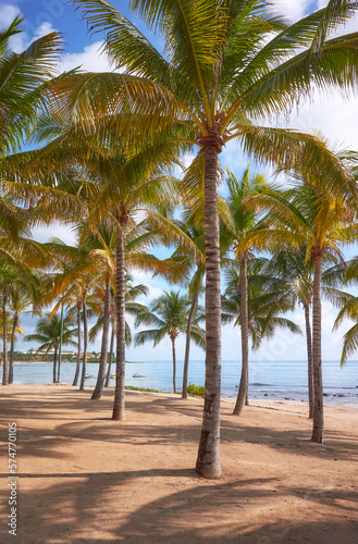 Fototapeta Naklejka Na Ścianę i Meble -  Photo of a Caribbean tropical beach, summer vacation concept.
