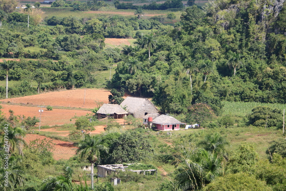 Landscape of the Vinales Valley in Cuba, Caribbean
