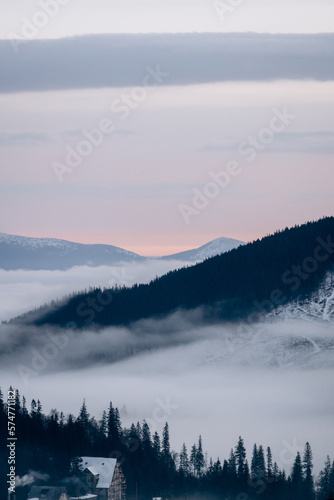Fototapeta Naklejka Na Ścianę i Meble -  Dragobrat, Ukraine mountain landscape with fog and fir trees.