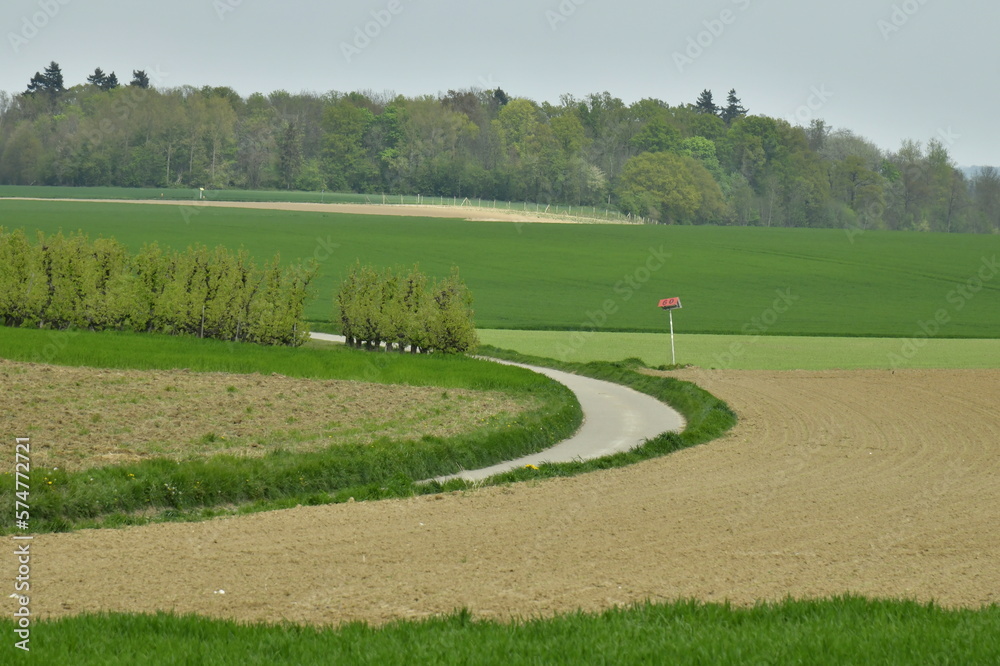 L'une des routes traversant les champs au début du printemps dans la belle campagne environnante de Berloz à l'ouest de Waremme 