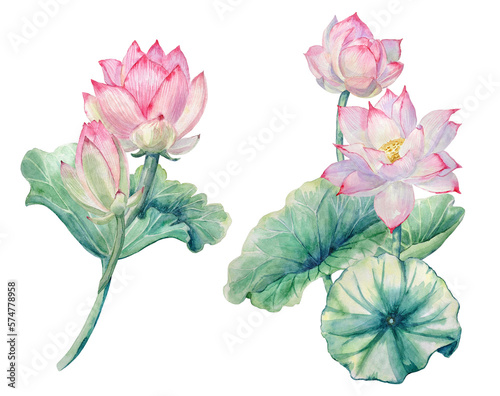 Hand-painted watercolor compositions with lotus flowers and lotus leaves on a transparent background.