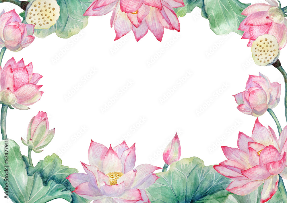 Obraz premium Watercolor frame with hand-painted elements of lotus flowers, leaves, and lotus seed ovaries on a transparent background.