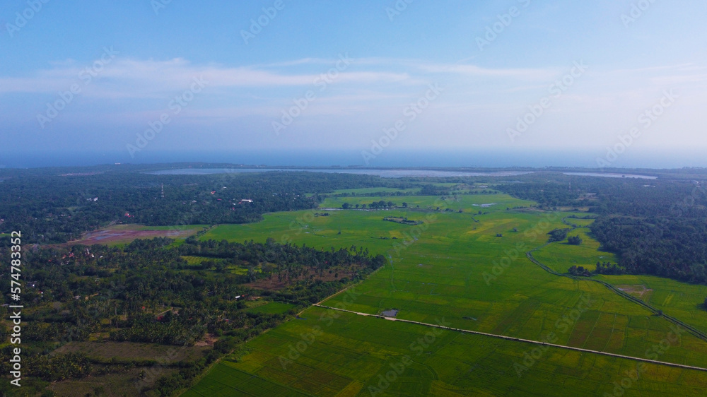 Aerial view of the green fields of rice and tea. Beautiful texture background for tourism and design. Tropical landscape