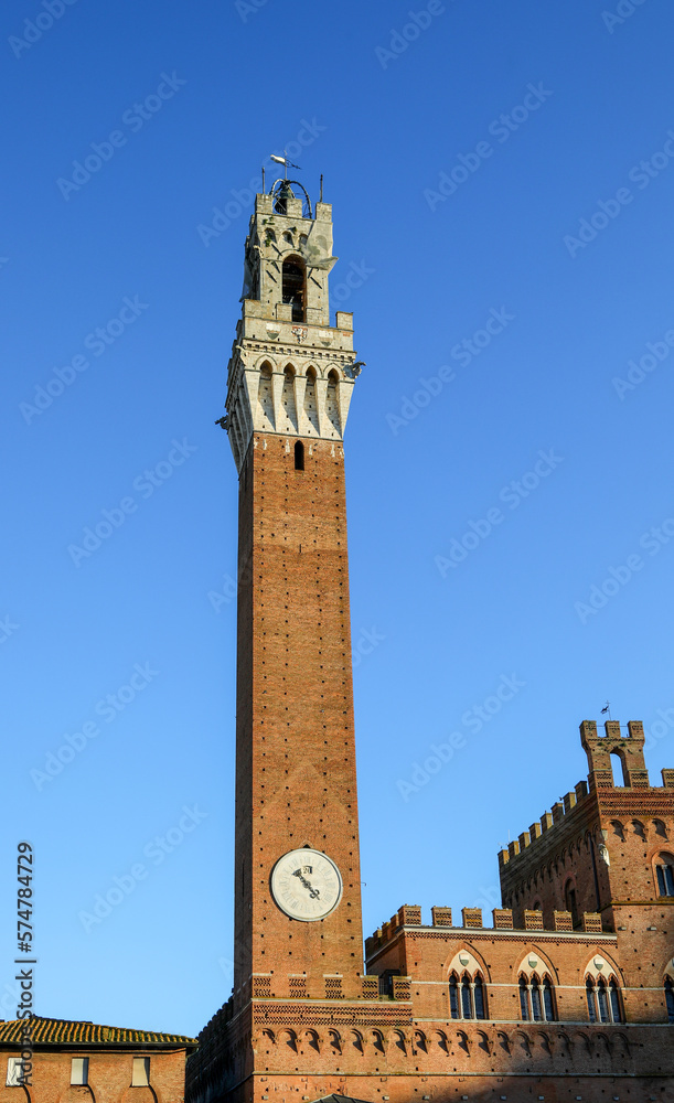 Town Hall called PALAZZO PUBBLICO and Tower in Siena In itay