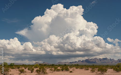 Tableau sur toile Monsoon Thunderhead forms over the KOFA Mountains in Arizona.