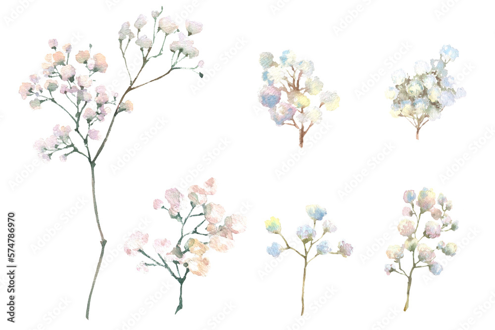A gypsophila branch hand drawn in watercolor isolated on a white background. Vintage little white flowers bouquet for Valentine's Day, wedding and other events