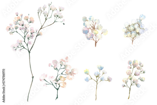 A gypsophila branch hand drawn in watercolor isolated on a white background. Vintage little white flowers bouquet for Valentine's Day, wedding and other events