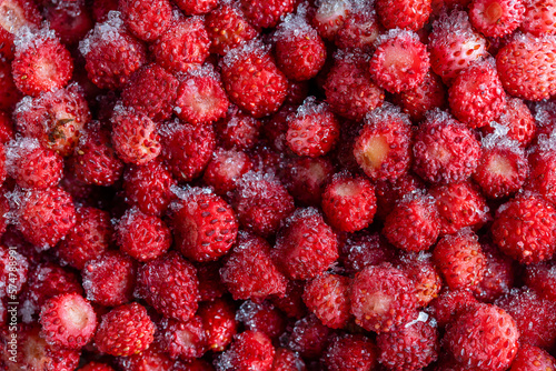 Background from the frozen red wild strawberry  closeup  top view. Food background. Healthy food