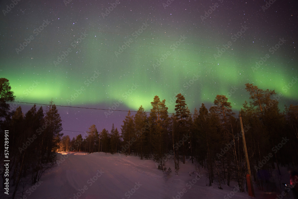 Beautiful northern lights in a forest. Lapland