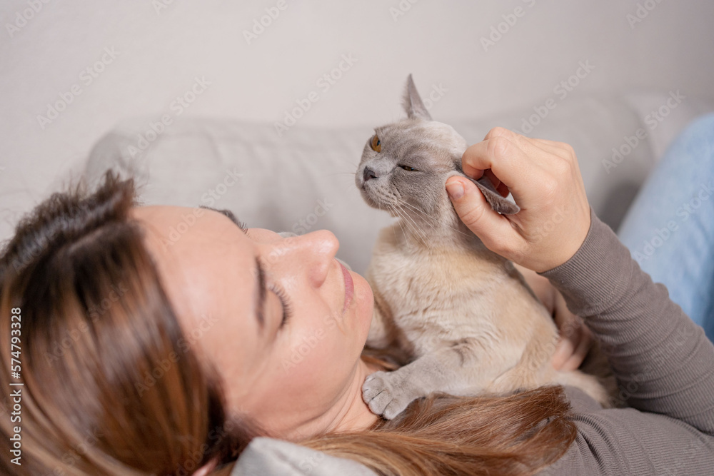 Burmese cat lies on the chest of a young woman lying on the sofa at home. love between pet and people. Burmese cat lies on the chest of a young woman lying on the sofa at home. love between pet and people.