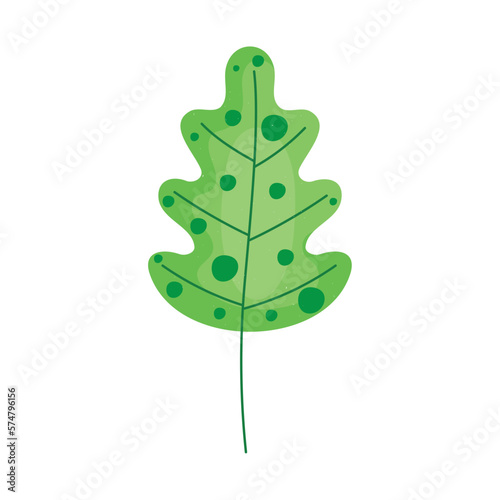 leaf green foliage
